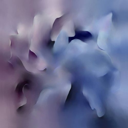 Melting Flower