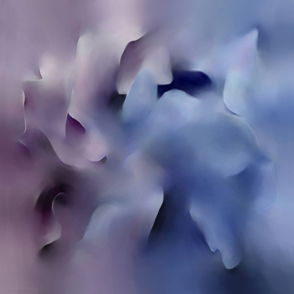 Melting Flower