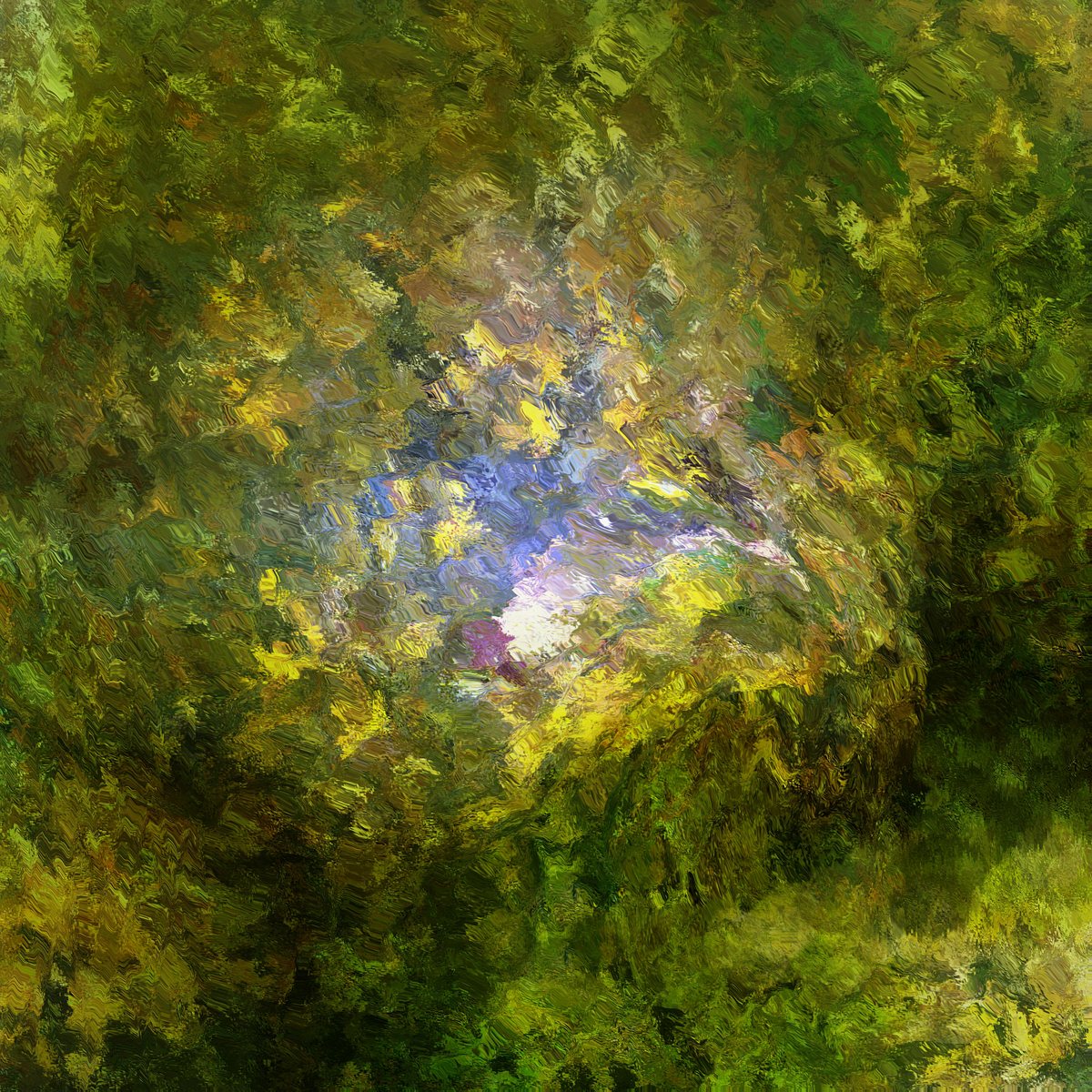 In My Forest Dreams