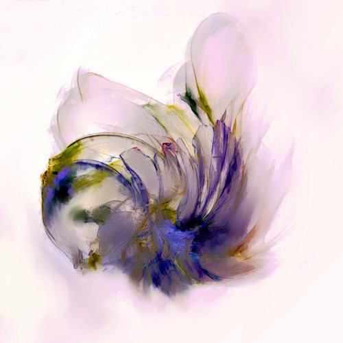 The Flower Of Time