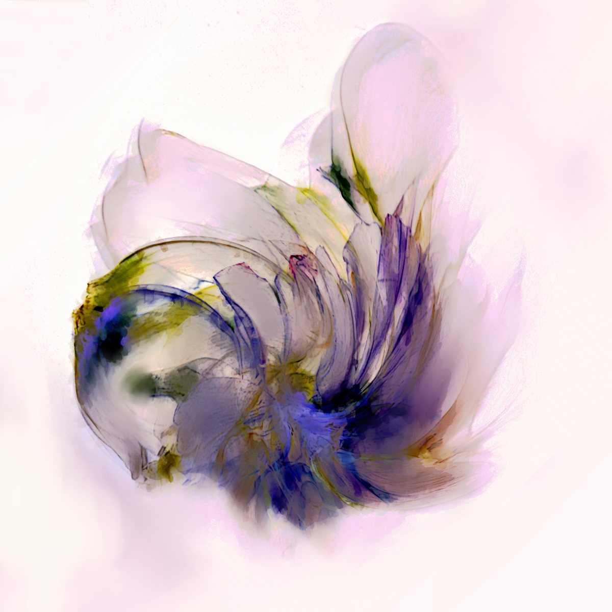 The Flower Of Time