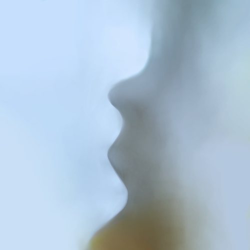 the silent scream