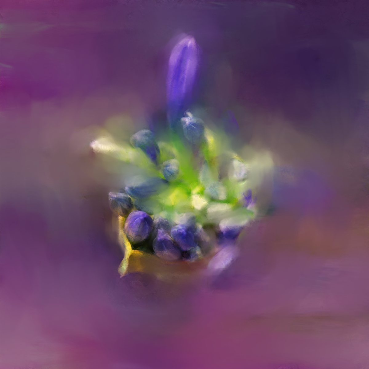 Boat Flower
