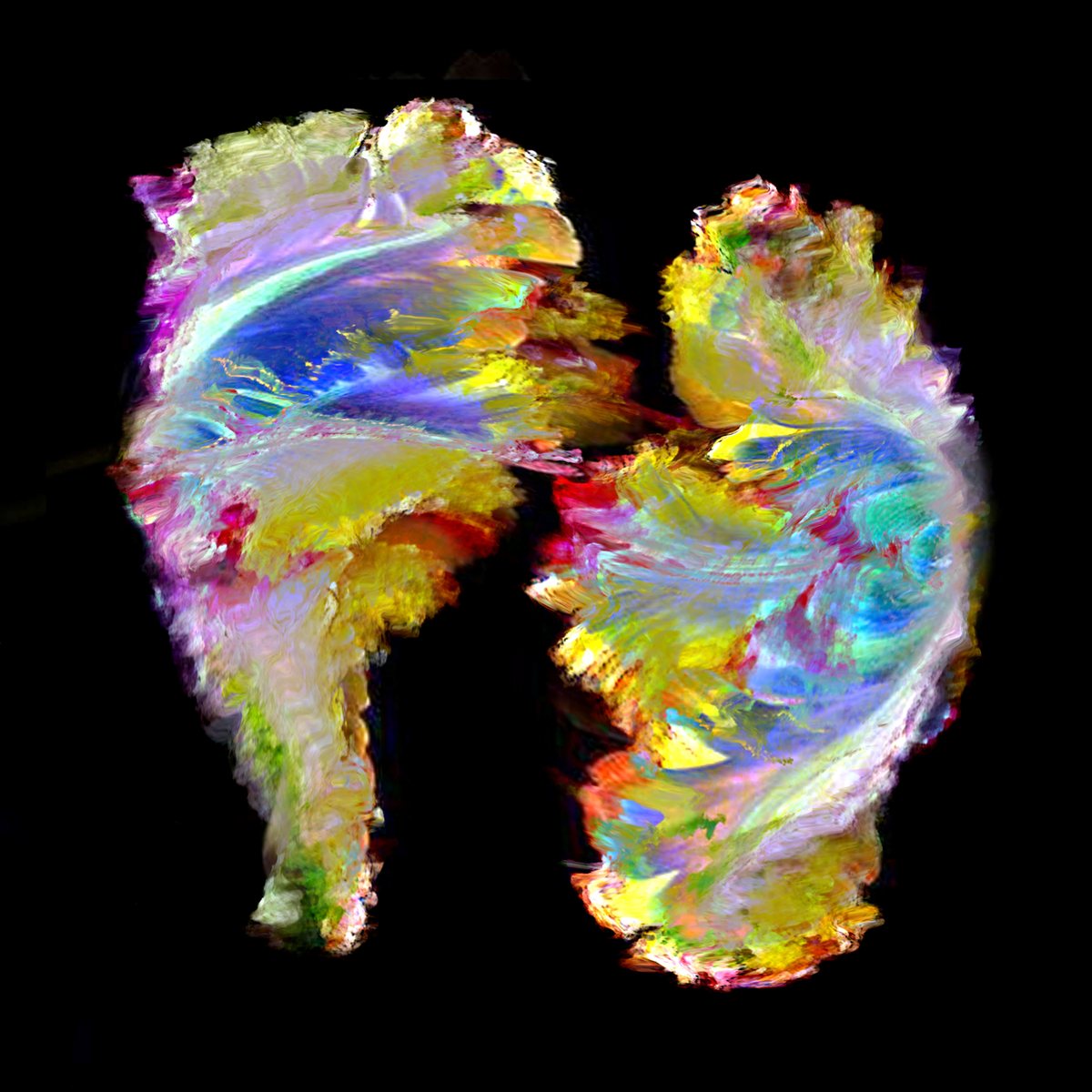 the flower dance of being