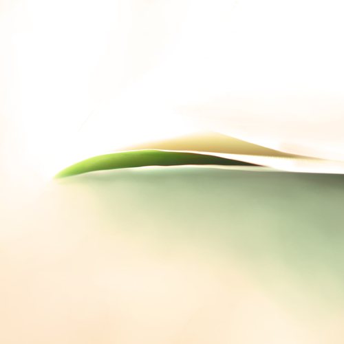 The Breath Of The Leaf