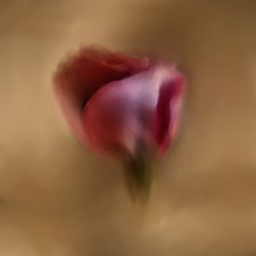 The Flower's Song