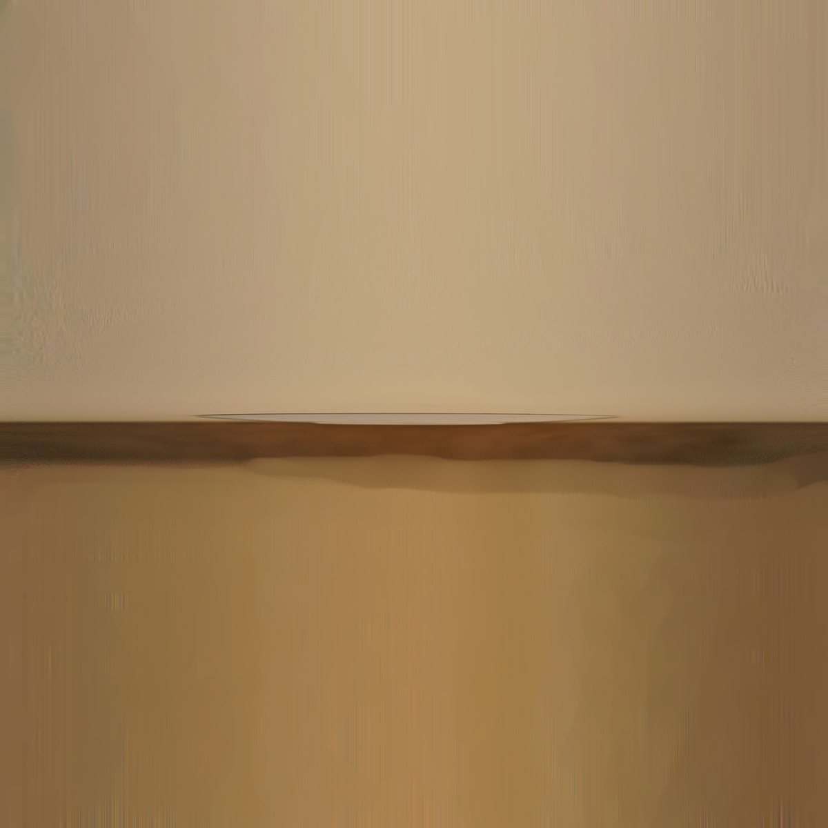 The Suspended Time