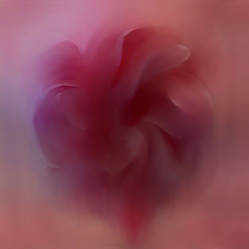 In The name of Flower