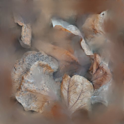 Dancing Leaves