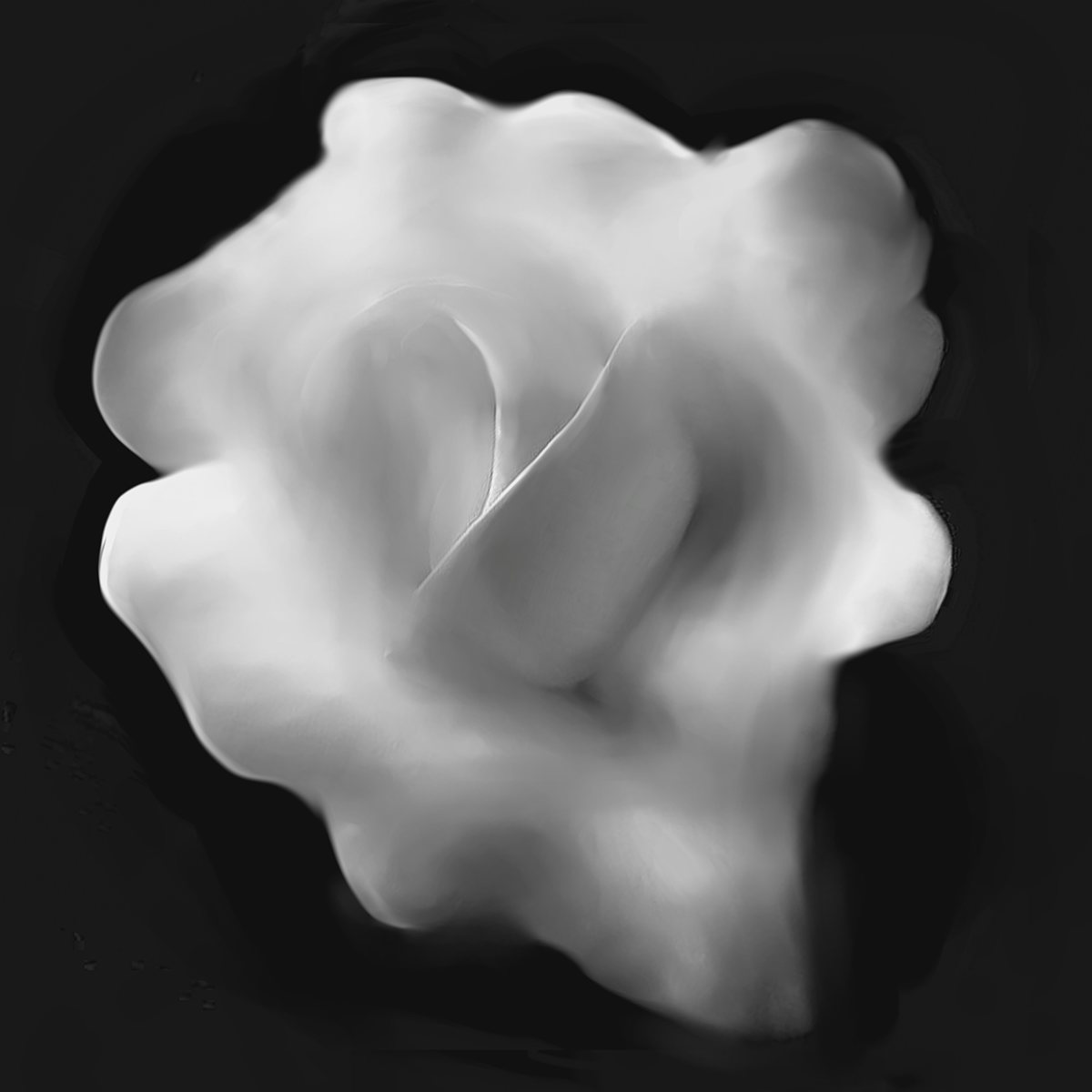 white is white,hope is the light of