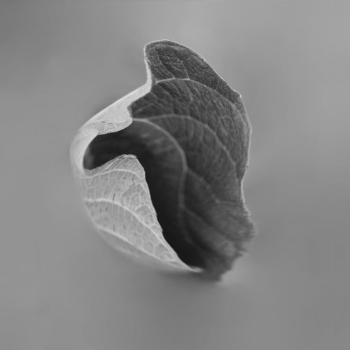 Flowing